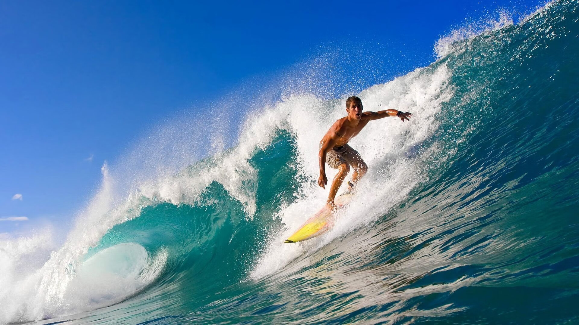 Summit加入Team Liquid引热议，team怎么加入