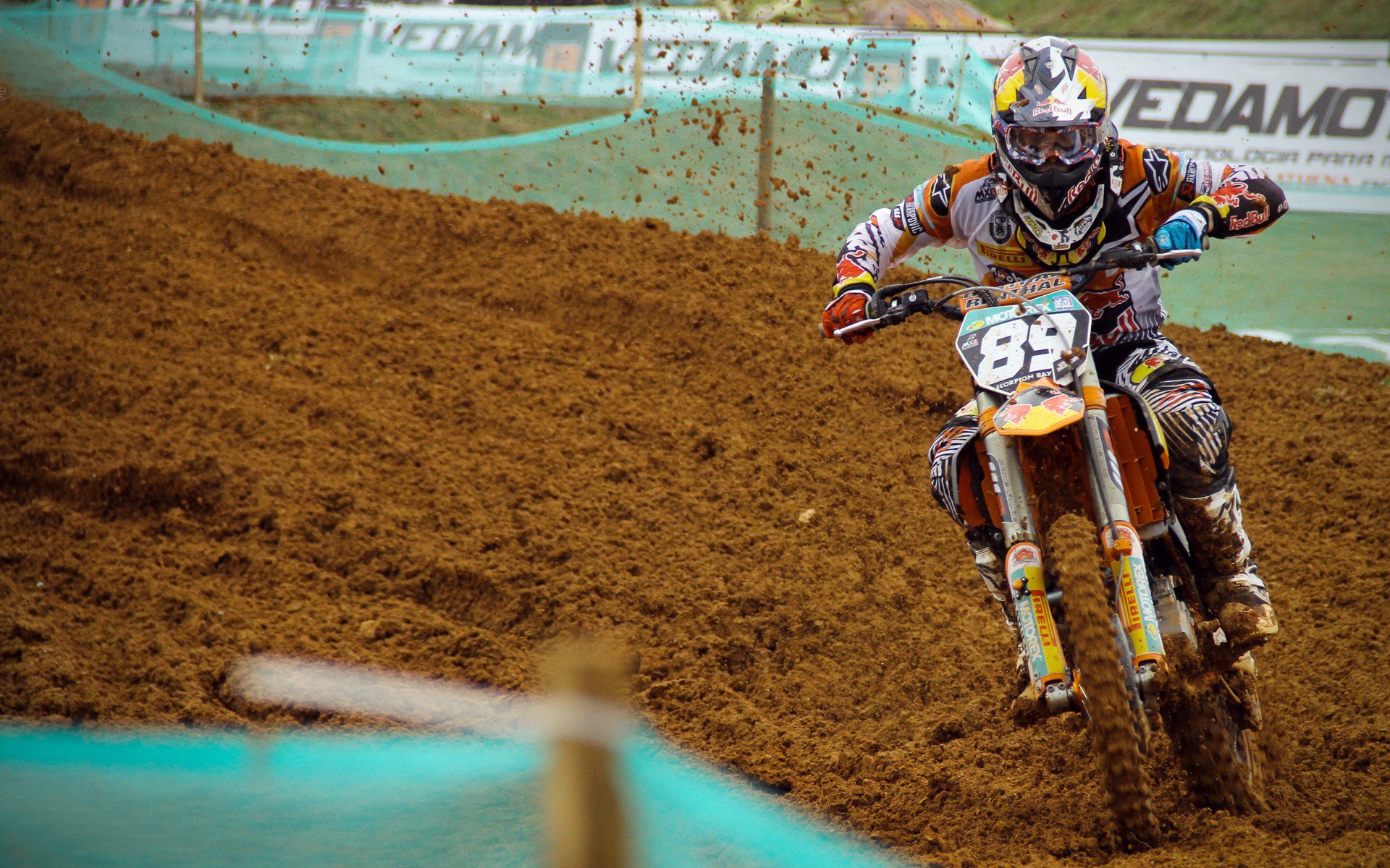 开云esports-中国马术节开幕，骑手与马匹共同亮相红毯，中国马术节2020